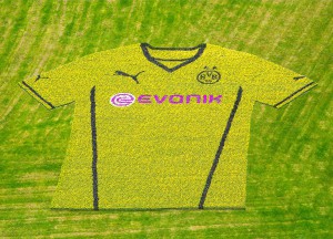 Bild 1_PUMA_BVB Trikotlaunch 13_14 - Über 80000 Blumen für ein Trikot im Westfalenpark